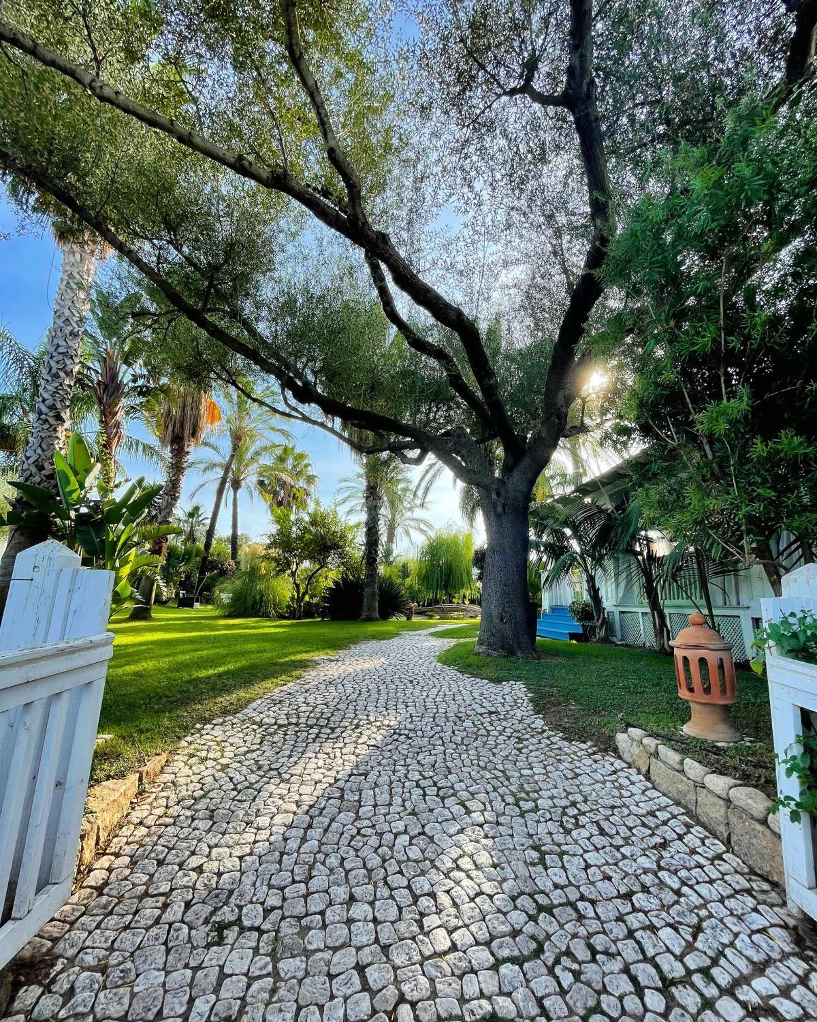 Hotel Mediterraneo Santa Maria Navarrese Kültér fotó